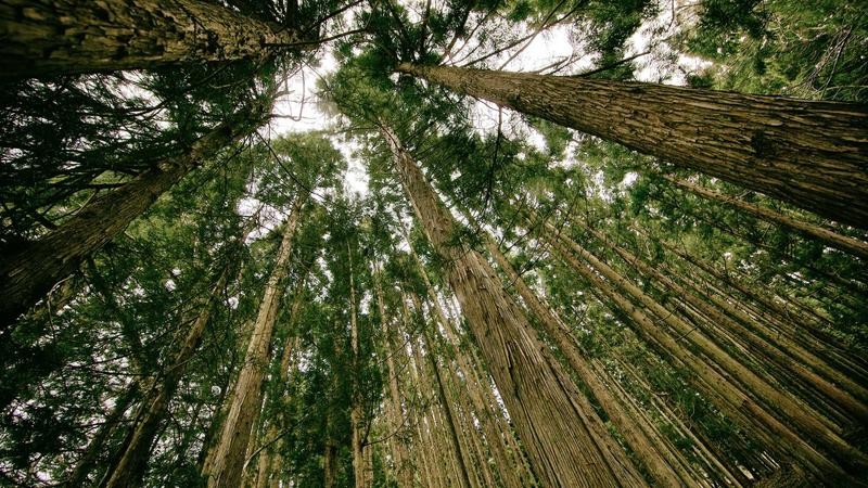 黄色无码视频在线看：网络内容生态的隐忧与用户理性选择指南