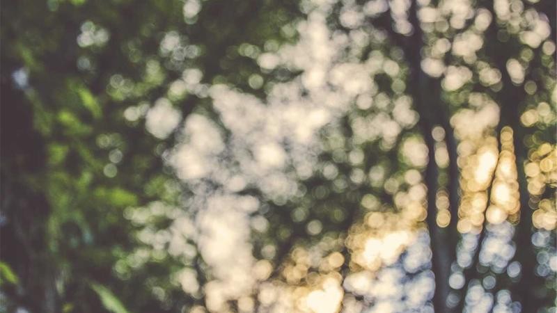 亚洲熟妇少妇任你躁：探索成熟与青春的多元魅力，解锁情感与生活的深度共鸣