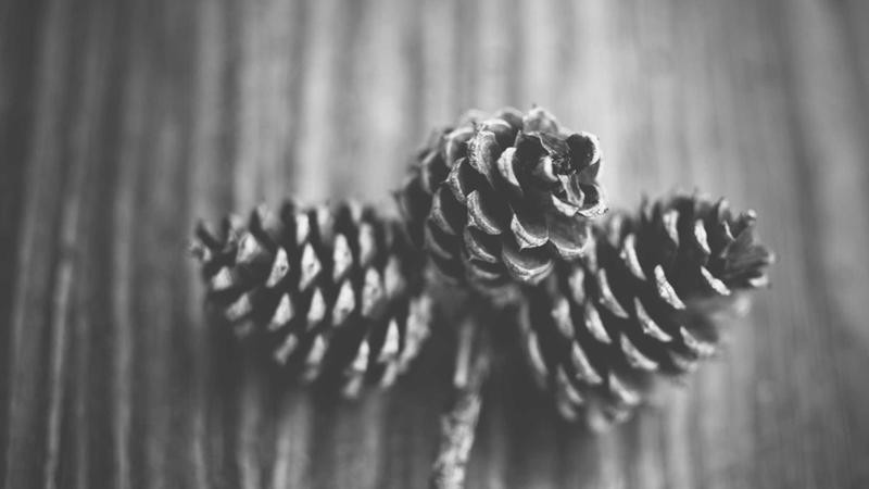 亚洲AV无码片一区二区三区：解析区域分类背后的文化现象与受众心理